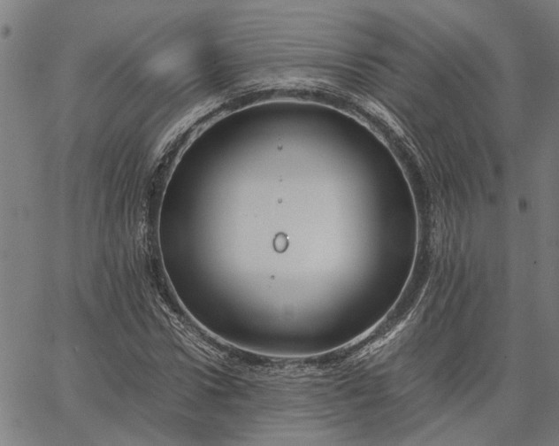 X0000065240922200603031734