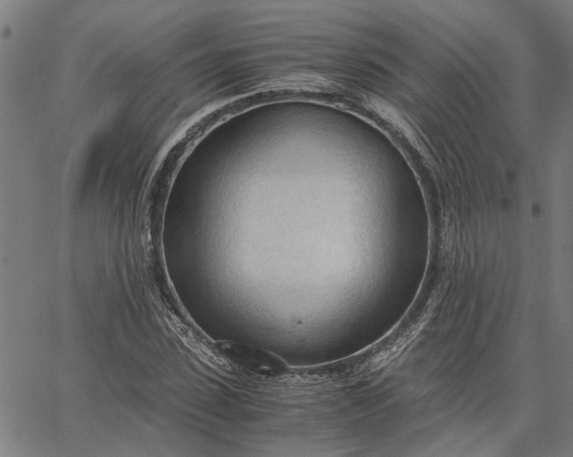 X0000065240923200603031734