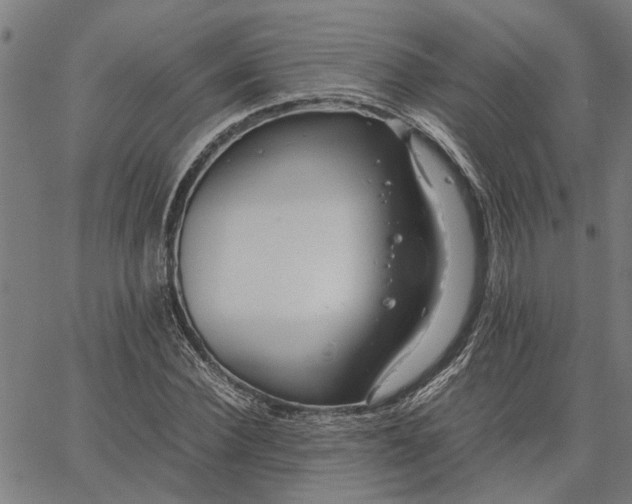 X0000065240924200603031734