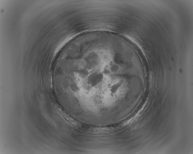 X0000065240925200603031735