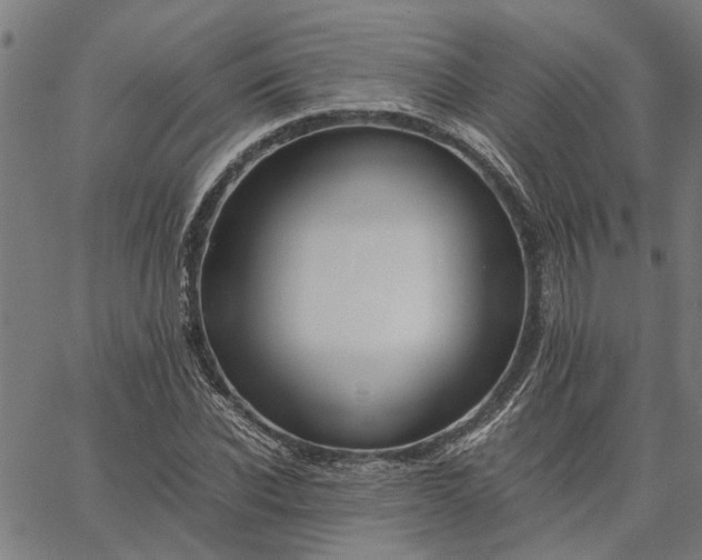 X0000065240926200603031735