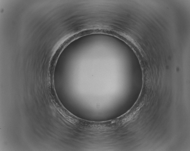 X0000065240927200603031735