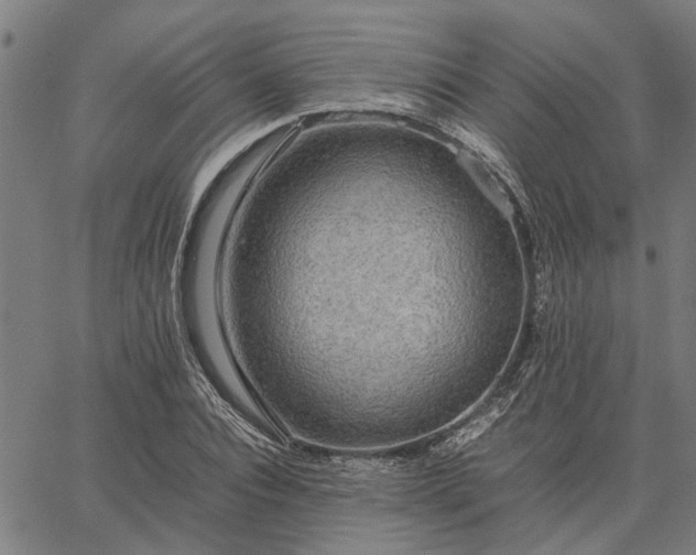 X0000065240928200603031735