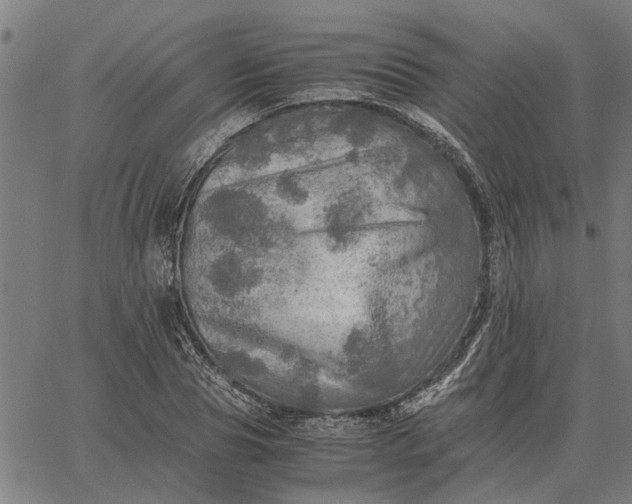 X0000065240929200603031735