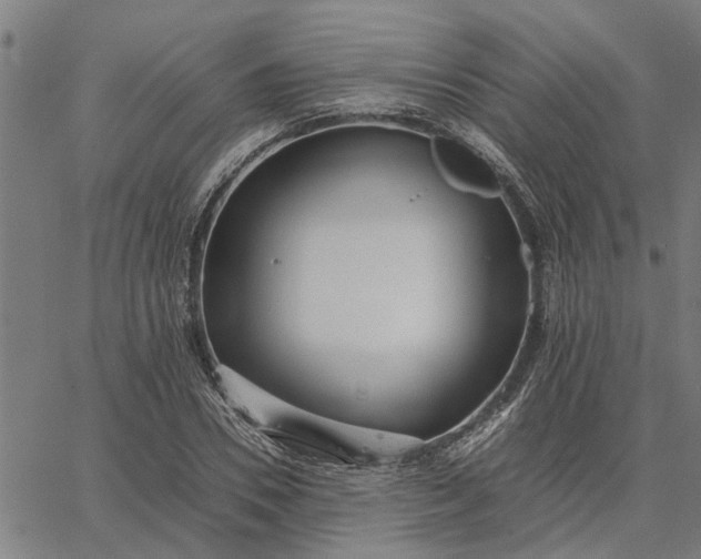 X0000065240930200603031735