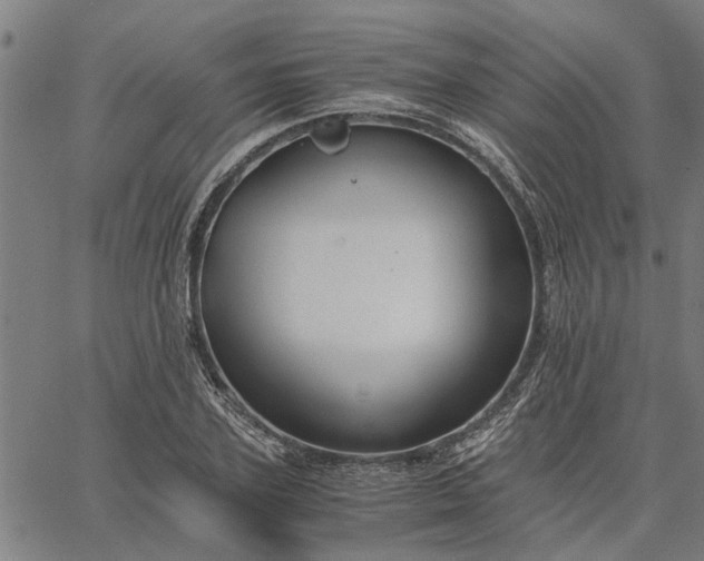 X0000065240931200603031735