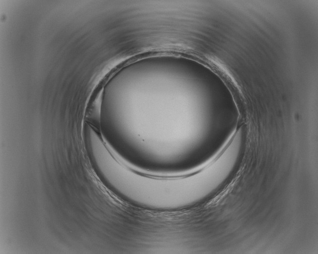 X0000065240932200603031735