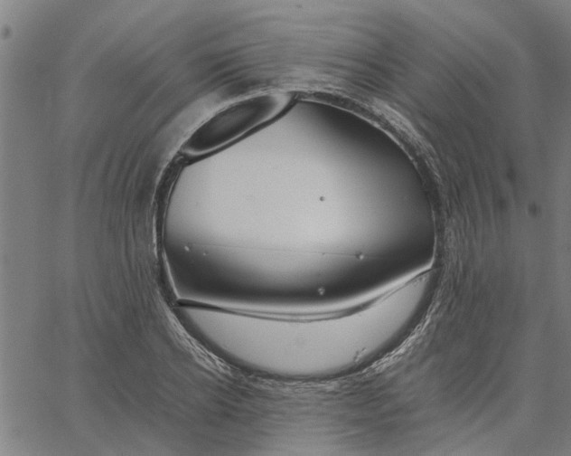 X0000065240934200603031735