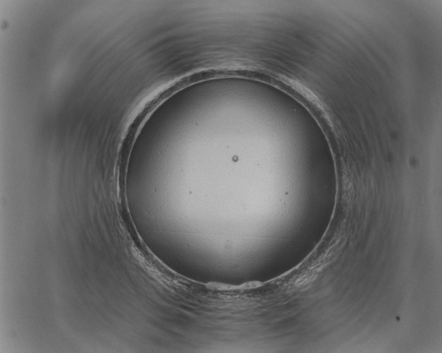 X0000065240935200603031735