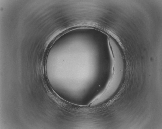 X0000065240936200603031735