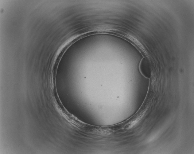 X0000065240939200603031735