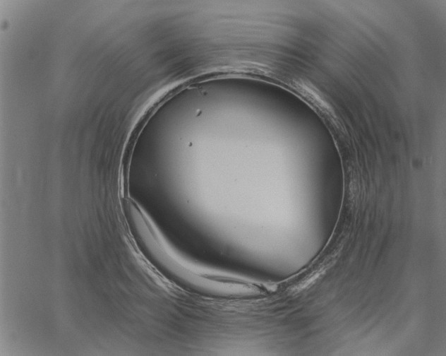 X0000065240940200603031735