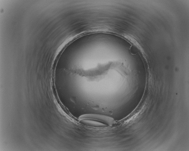 X0000065240941200603031735