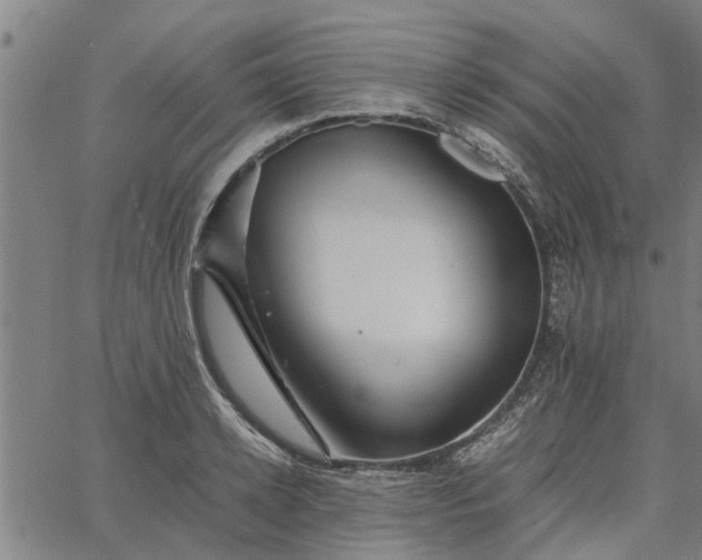 X0000065240942200603031735