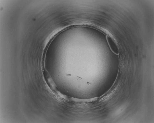 X0000065240943200603031735