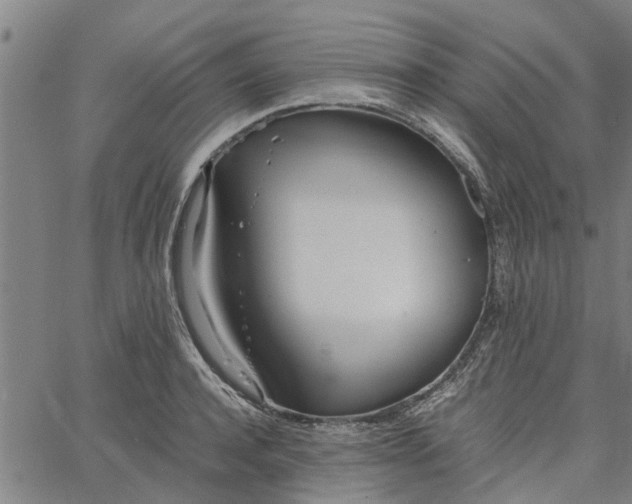 X0000065240944200603031735