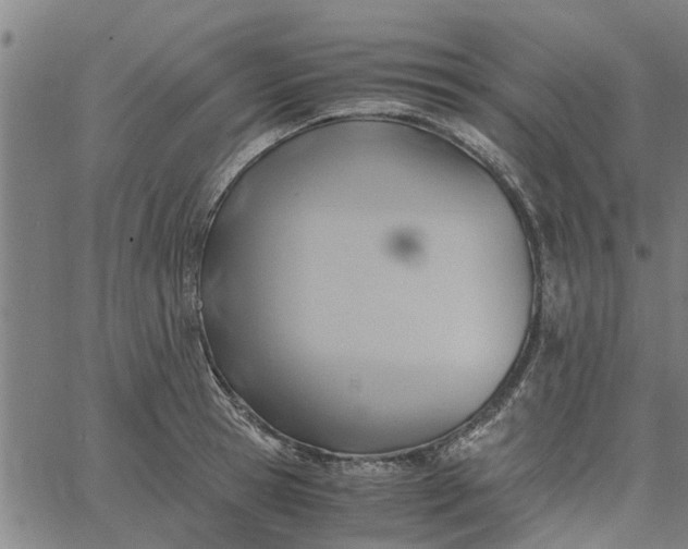 X0000065240945200603031735