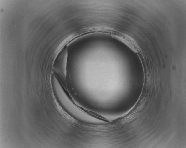 X0000065240946200603031735