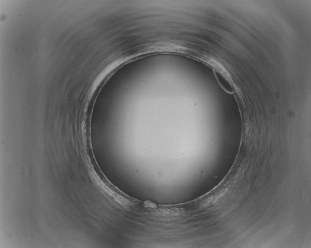 X0000065240947200603031735