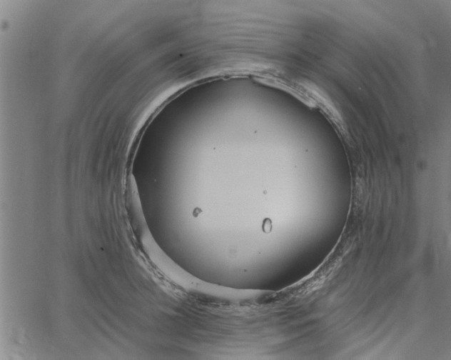 X0000065240948200603031735