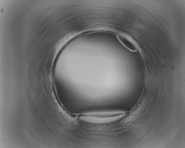 X0000065240951200603031735