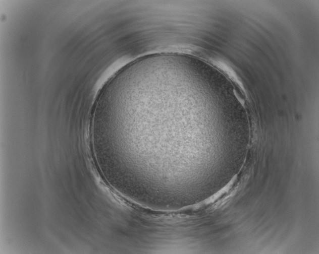 X0000065240952200603031735