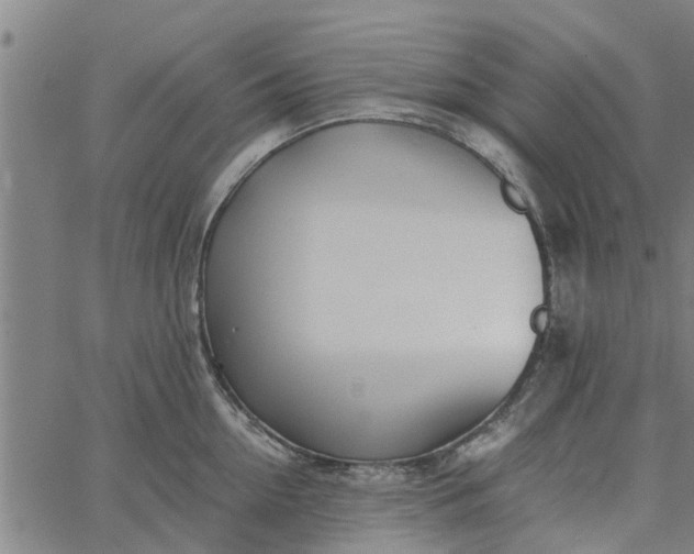 X0000065240954200603031735