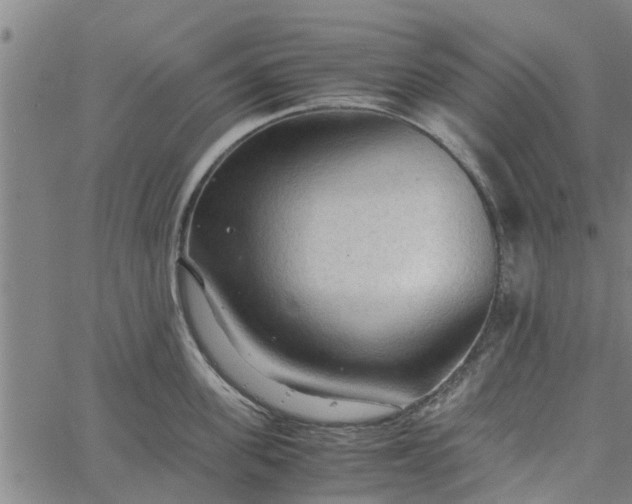 X0000065240955200603031735