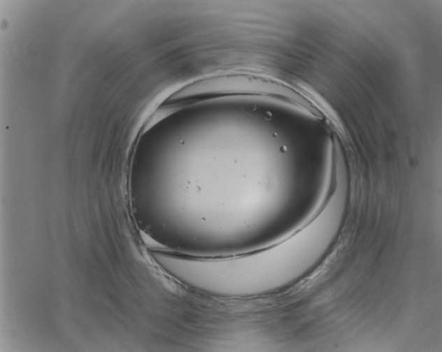 X0000065240956200603031735