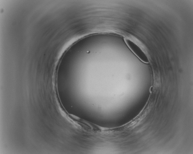 X0000065240958200603031735