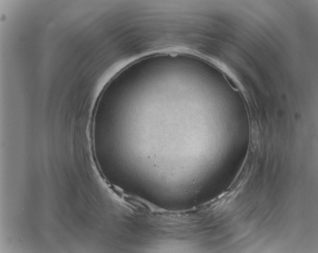 X0000065240959200603031735