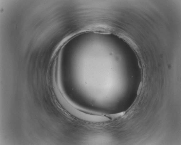 X0000065240960200603031735