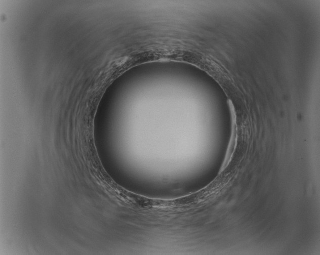 X0000065240961200603031734