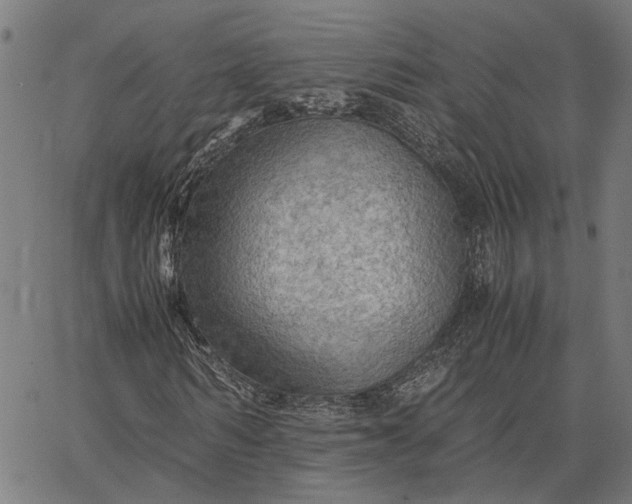 X0000065240962200603031734