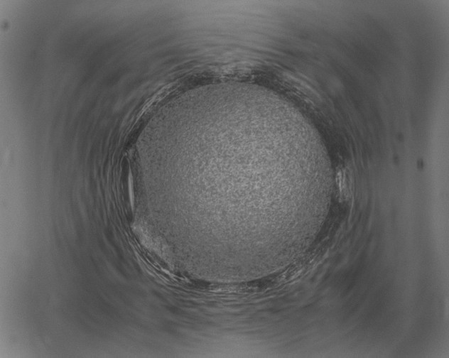 X0000065240963200603031734