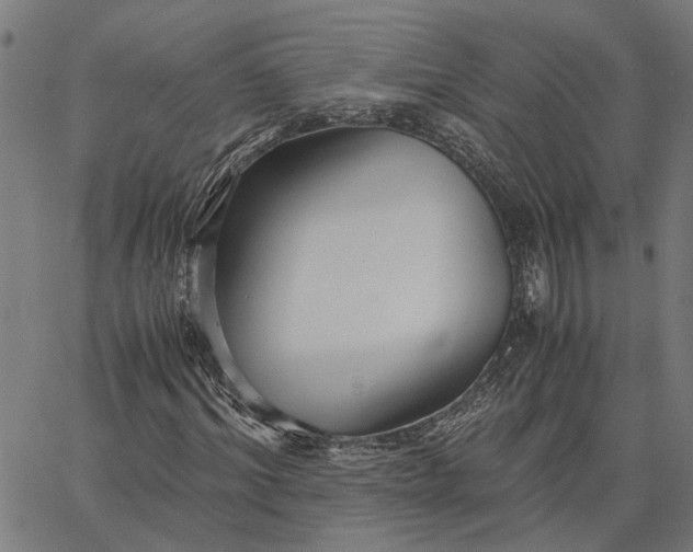 X0000065240964200603031734