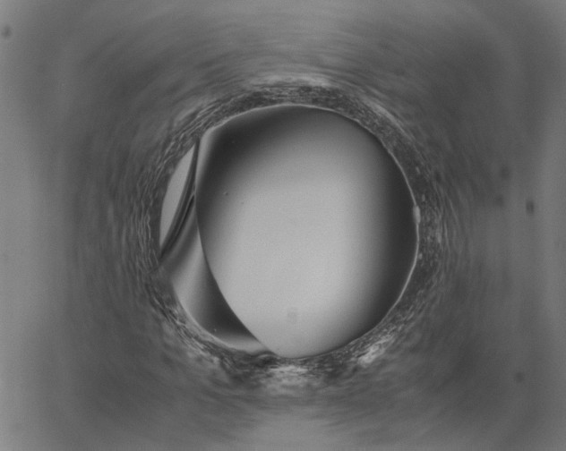 X0000065240965200603031734