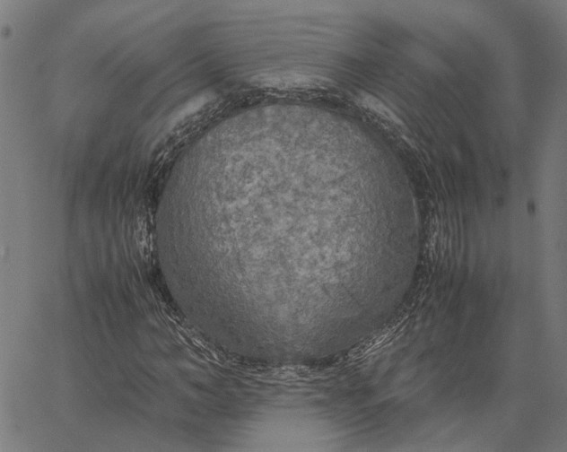 X0000065240966200603031734