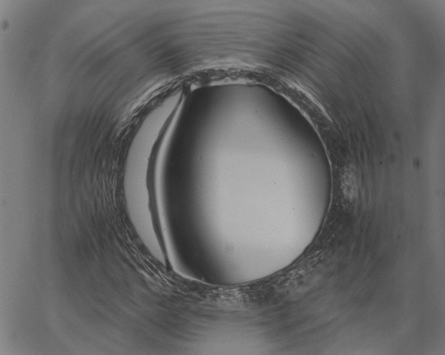 X0000065240968200603031734