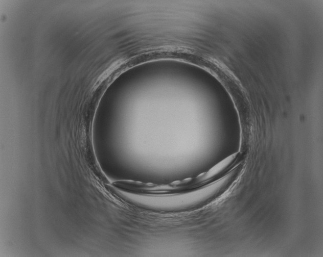 X0000065240969200603031734