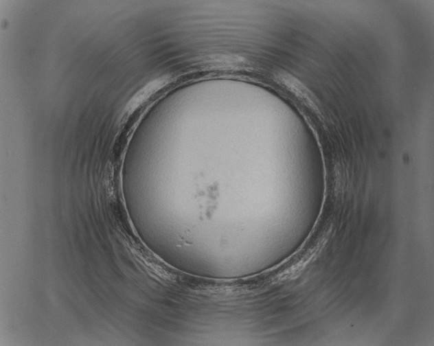 X0000065240970200603031734