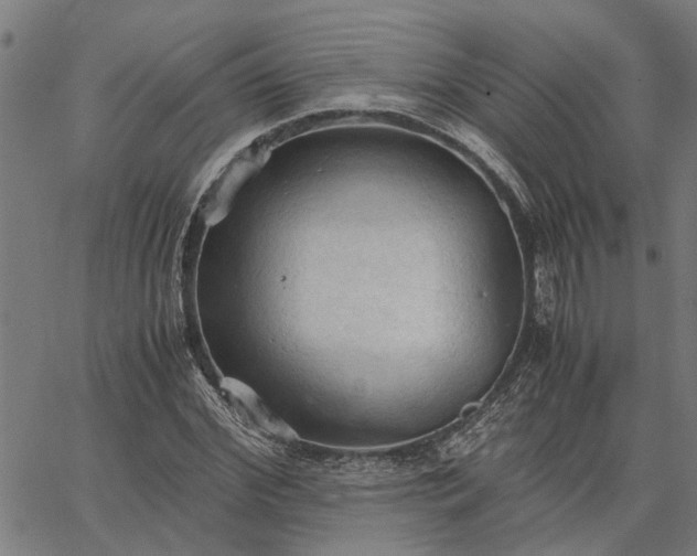 X0000065240972200603031734