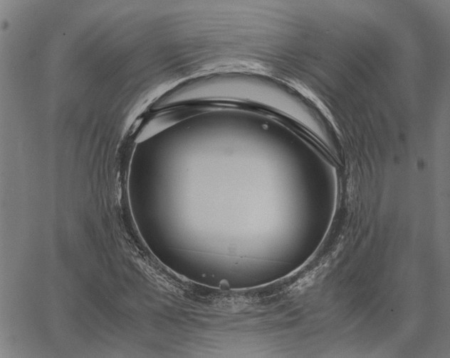 X0000065240973200603031734