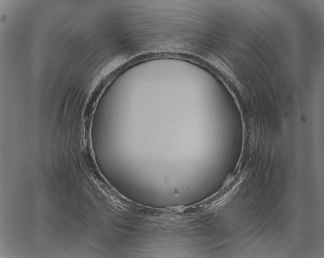 X0000065240974200603031734