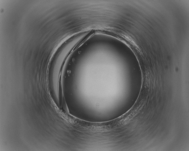 X0000065240976200603031734