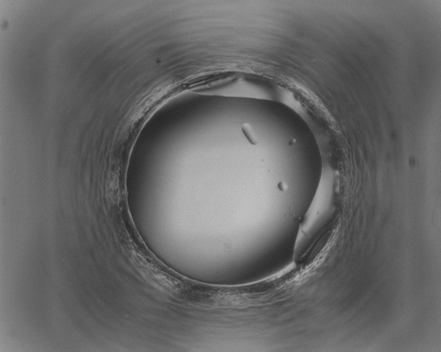 X0000065240977200603031734