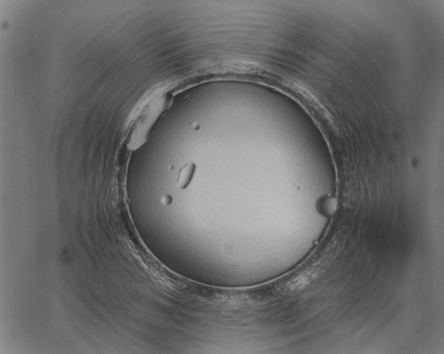 X0000065240978200603031734