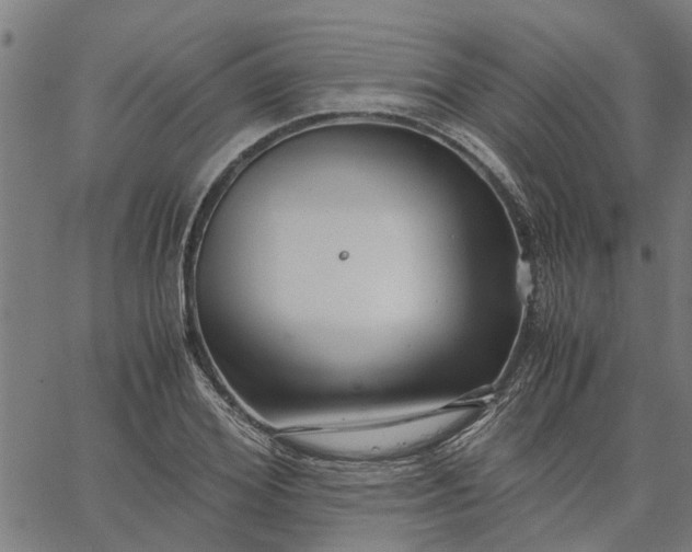 X0000065240980200603031734