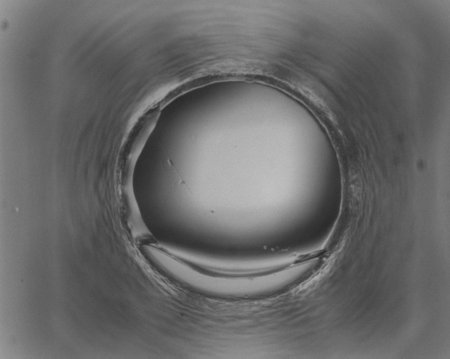 X0000065240981200603031734