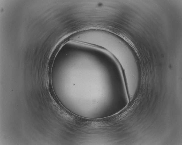 X0000065240984200603031734